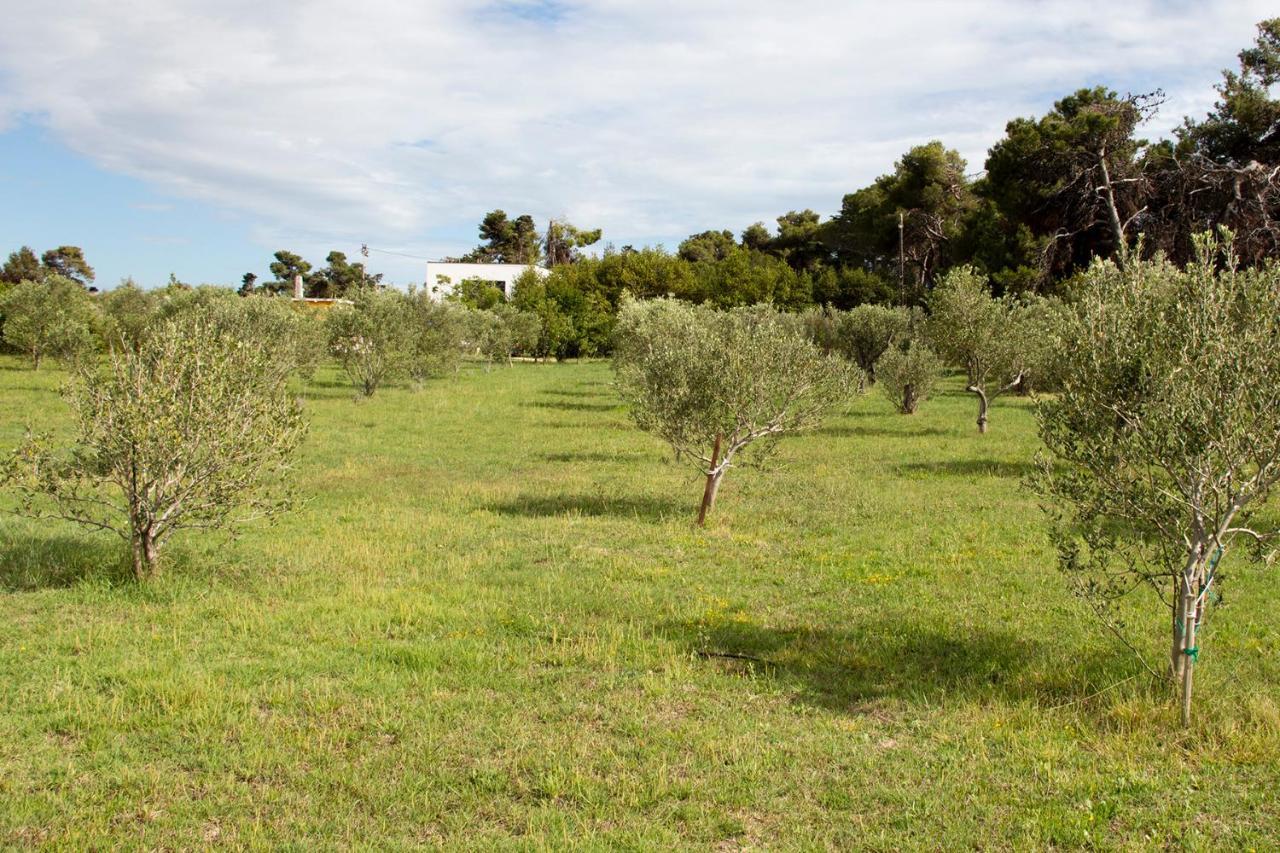 Villa Rosemary Park Zadar Bagian luar foto