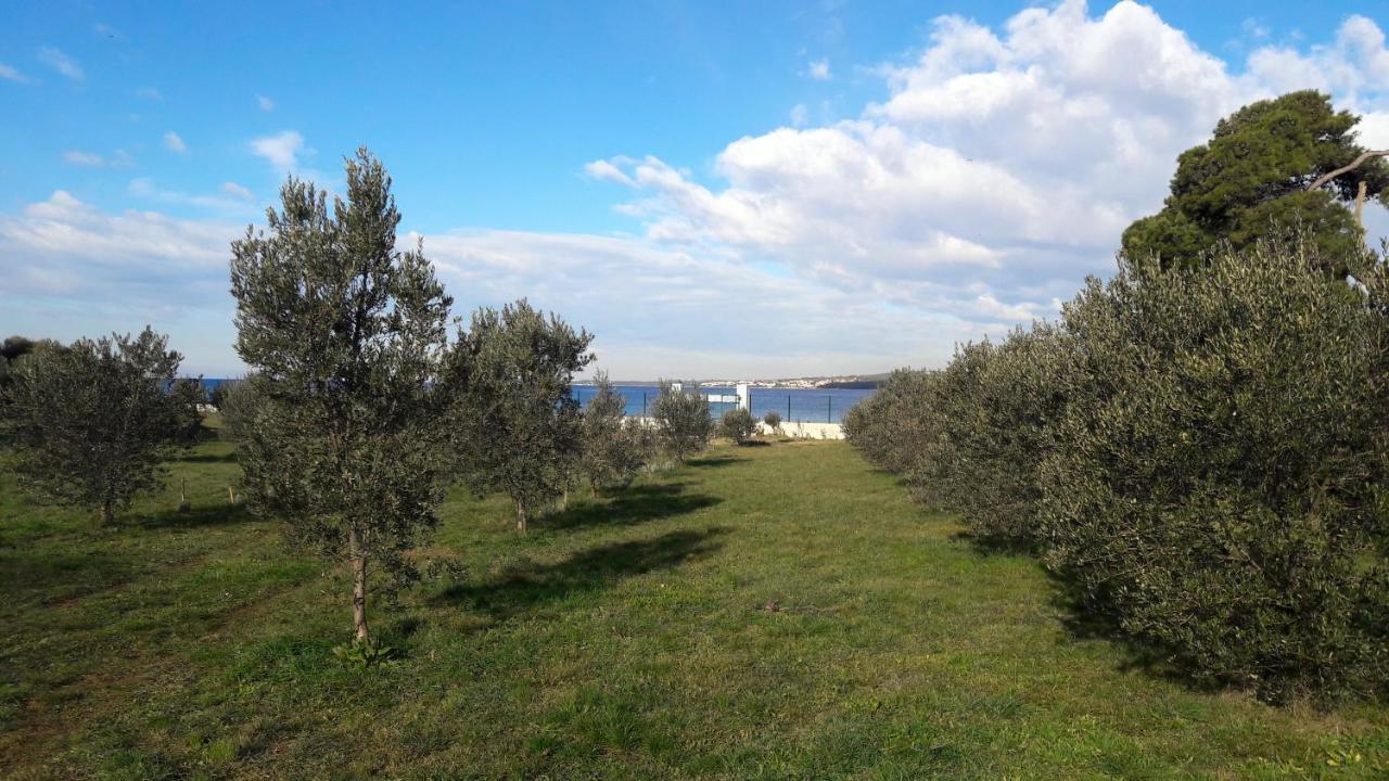 Villa Rosemary Park Zadar Bagian luar foto