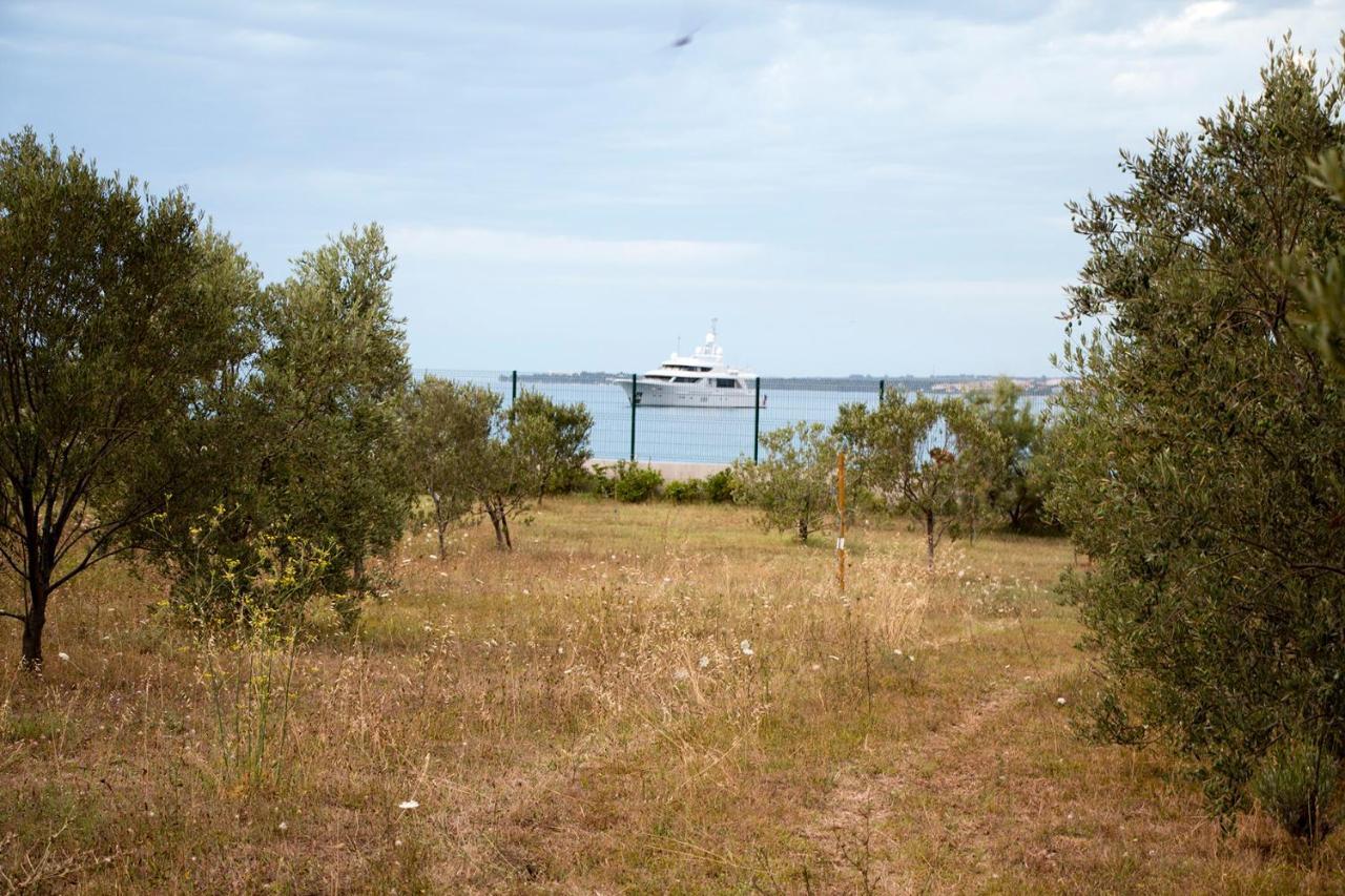 Villa Rosemary Park Zadar Bagian luar foto