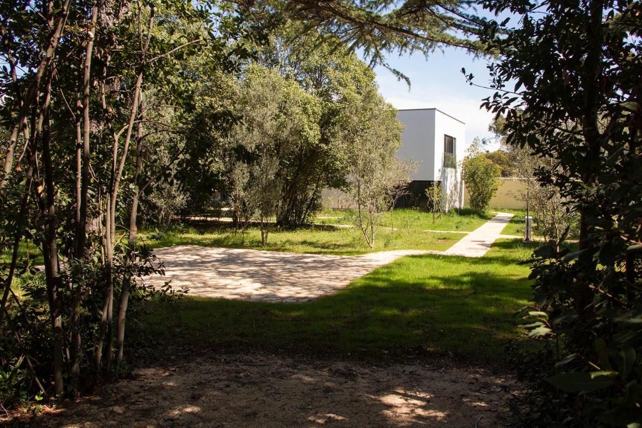 Villa Rosemary Park Zadar Bagian luar foto