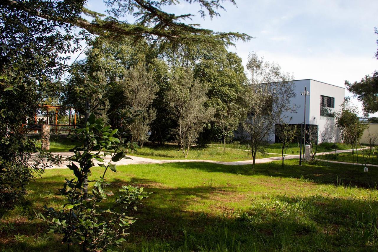 Villa Rosemary Park Zadar Bagian luar foto