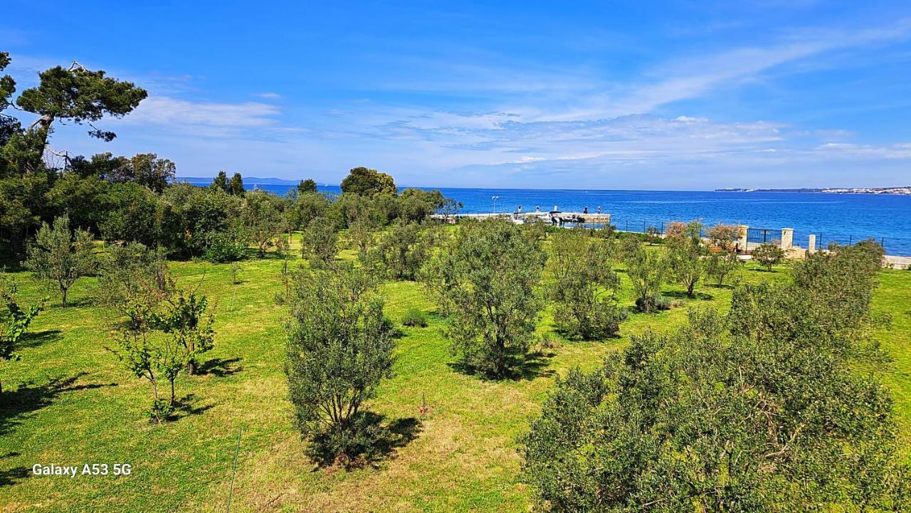 Villa Rosemary Park Zadar Bagian luar foto